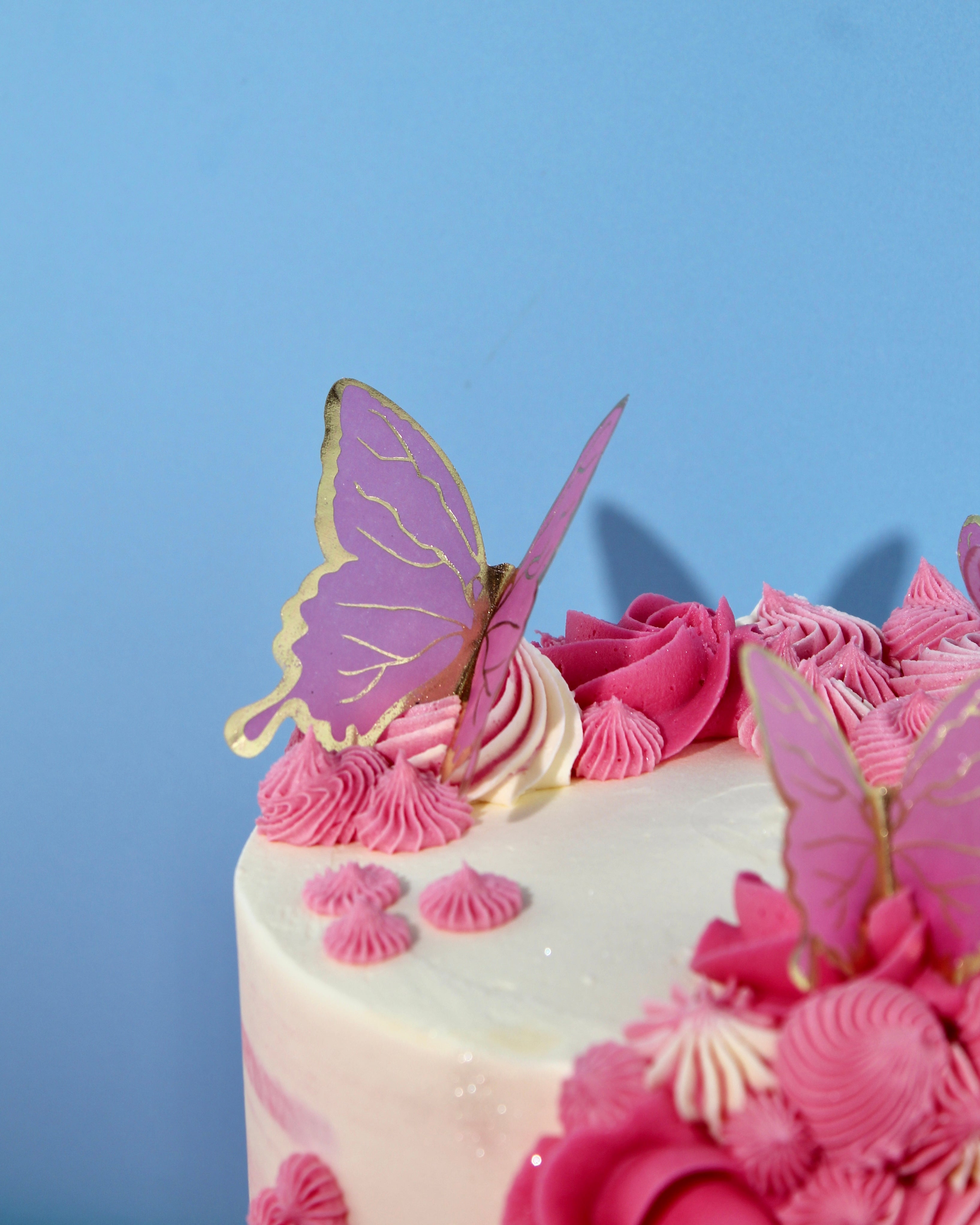 Dairy Free Butterfly Cake