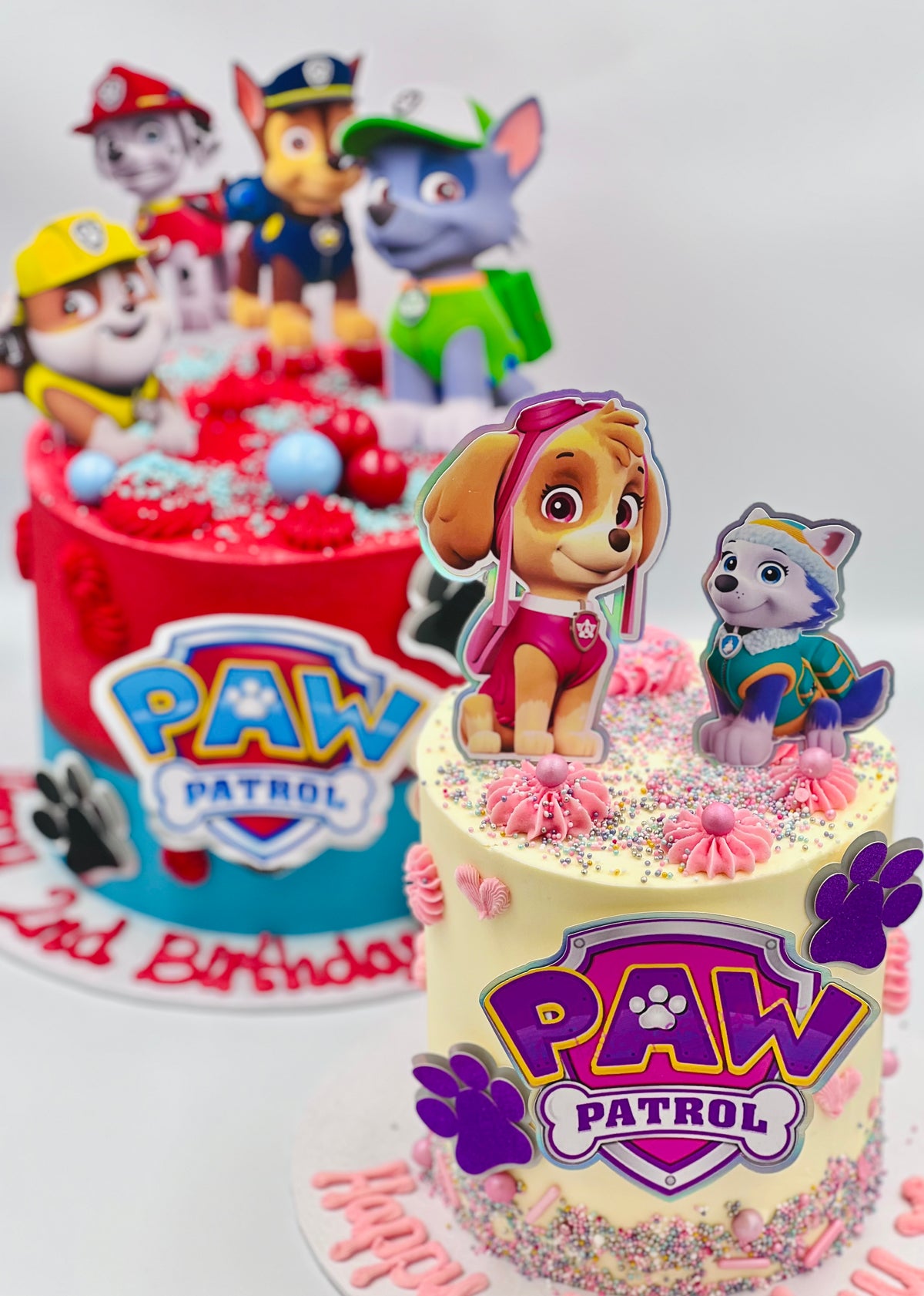 Paw Patrol Cake | Amys Bakehouse